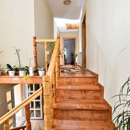 Casa Vio Ξενοδοχείο Haţeg Εξωτερικό φωτογραφία
